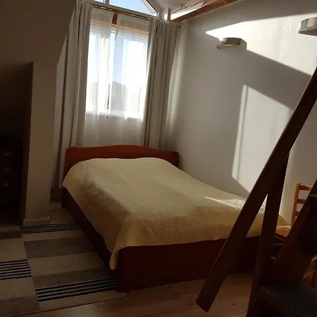 Elvina 3* Паланга