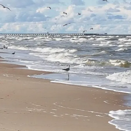 Elvina 3* Паланга