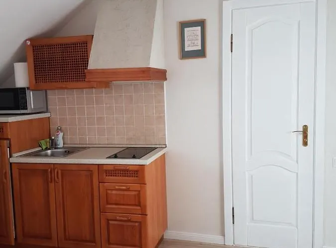 Πανσιόν Elvina