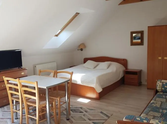 Πανσιόν Elvina Παλάγκα