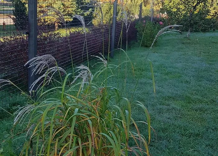 Gæstehus Elvina Palanga